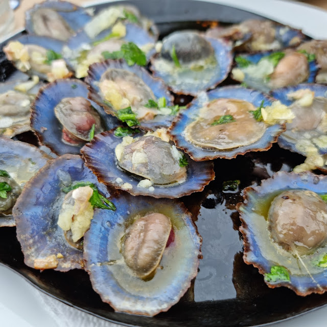 Lapas Grelhadas - Grilled Limpets