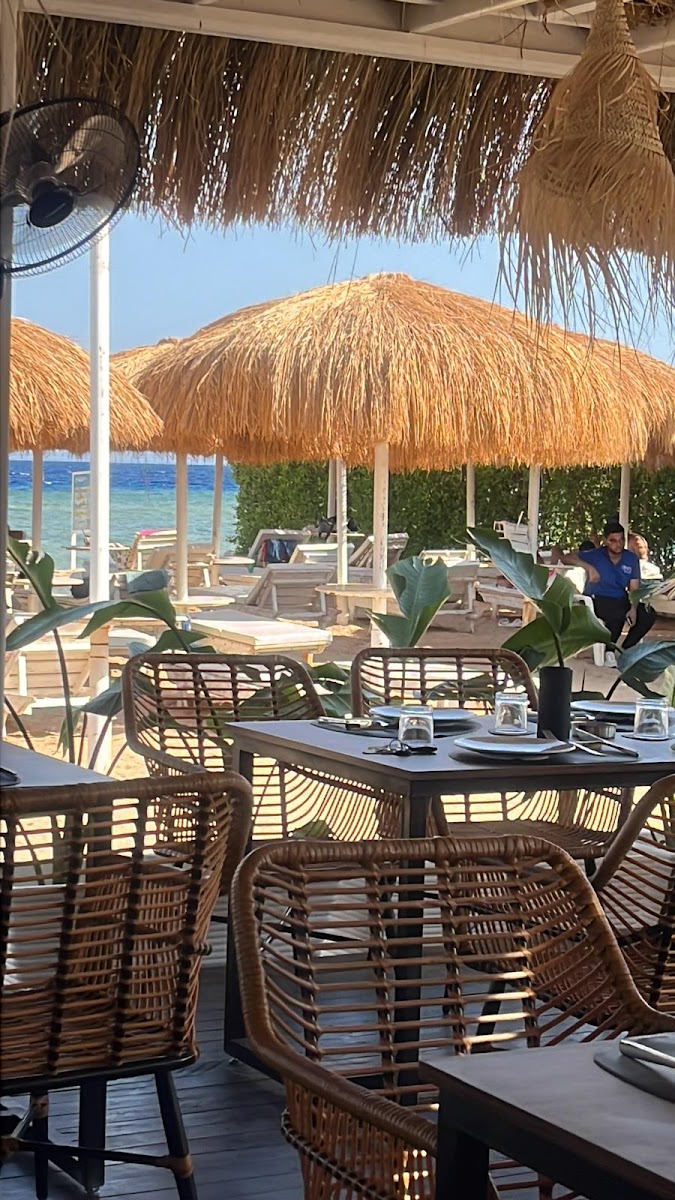 Zaza beach restaurant - Photo 9