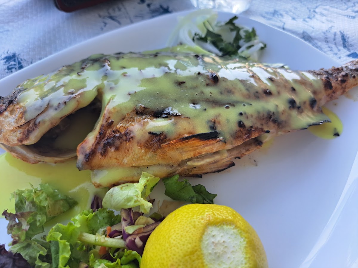 Nezas Fish House - Photo 3