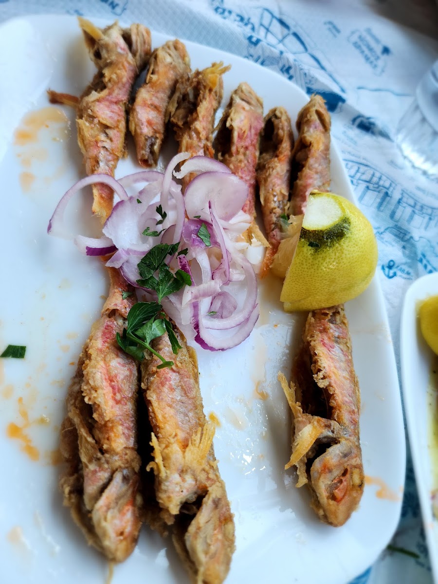 Nezas Fish House - Photo 5