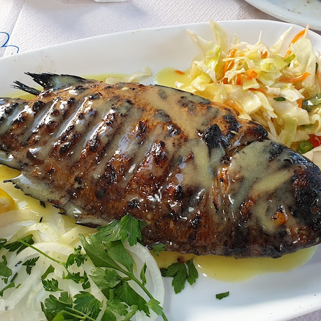Dorade Gegrillt
