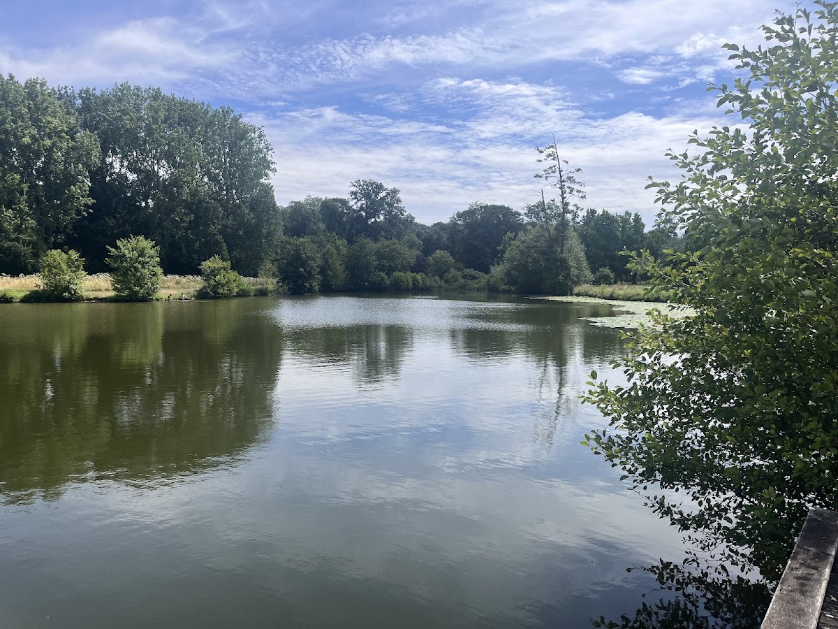 O'LAC GUINGUETTE DE LUISANT - Photo 5