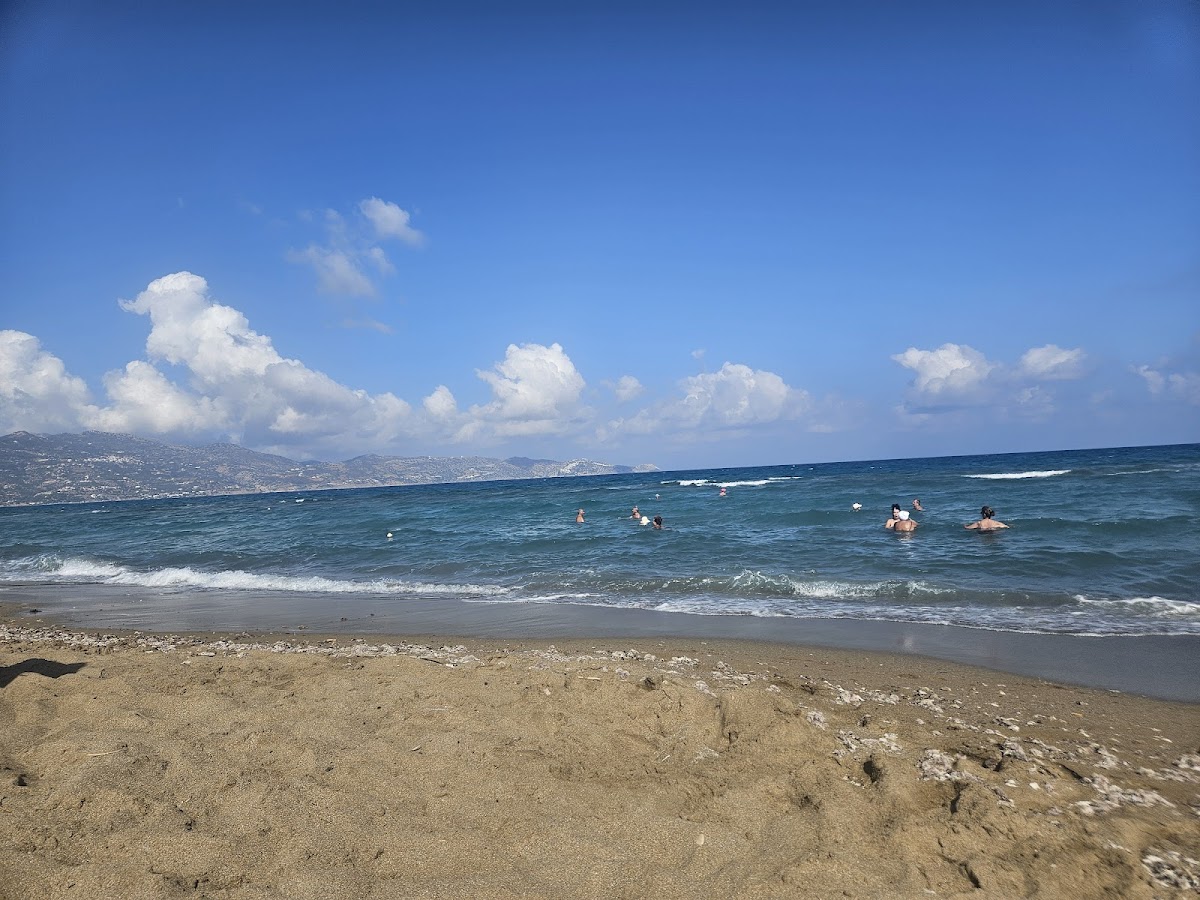 Blanco beachside - Photo 9
