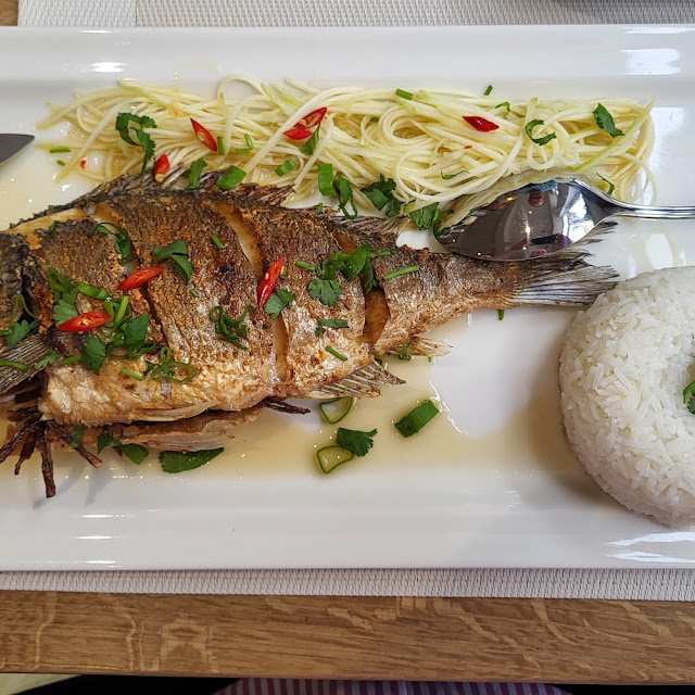 Ganze Dorade