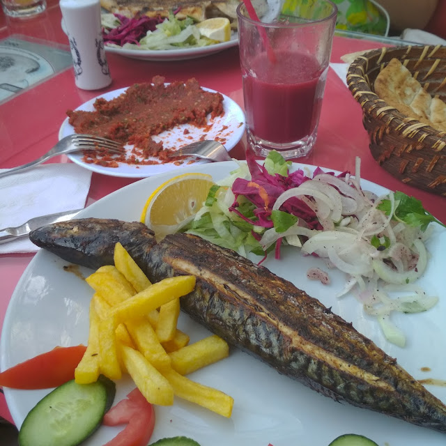 Fish