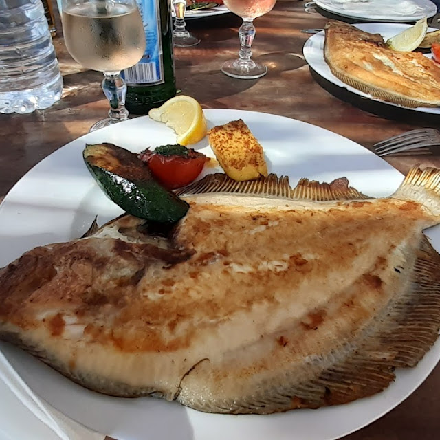 Turbot