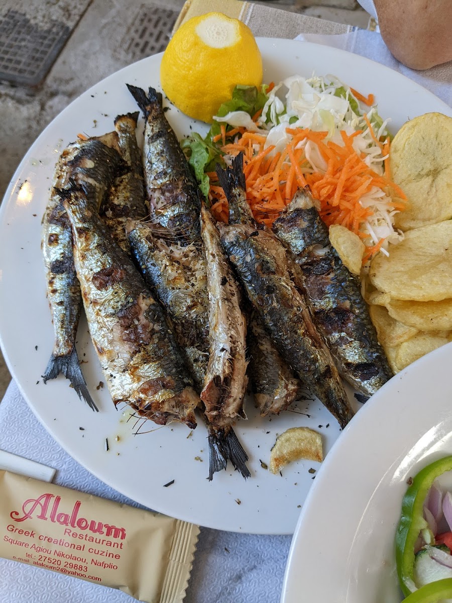 Alaloum - Photo 9