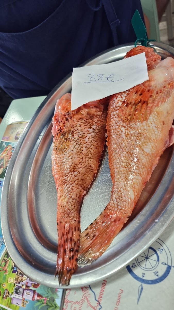 Ses Golondrines - Photo 7