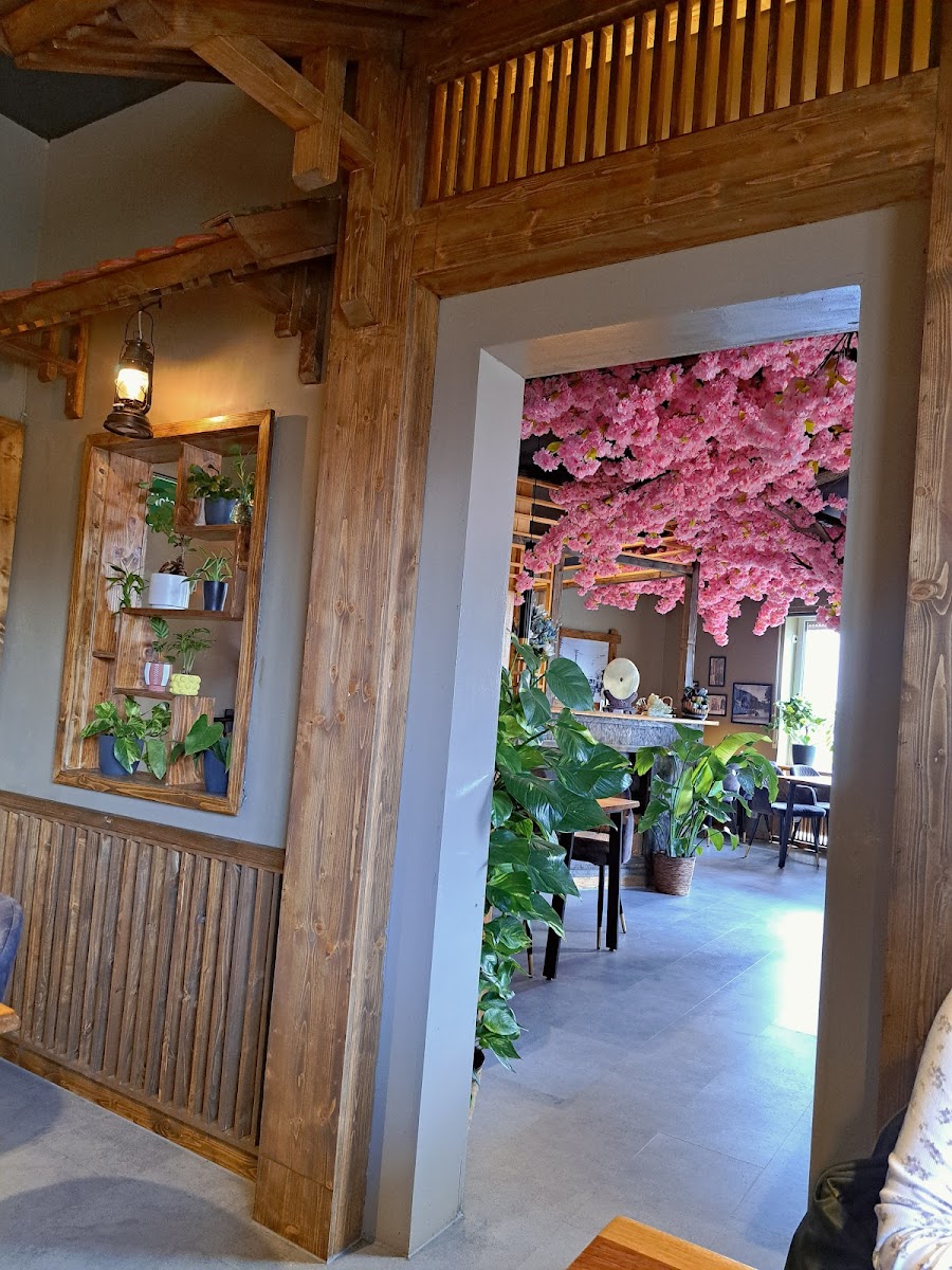 Viet Quan - Photo 2
