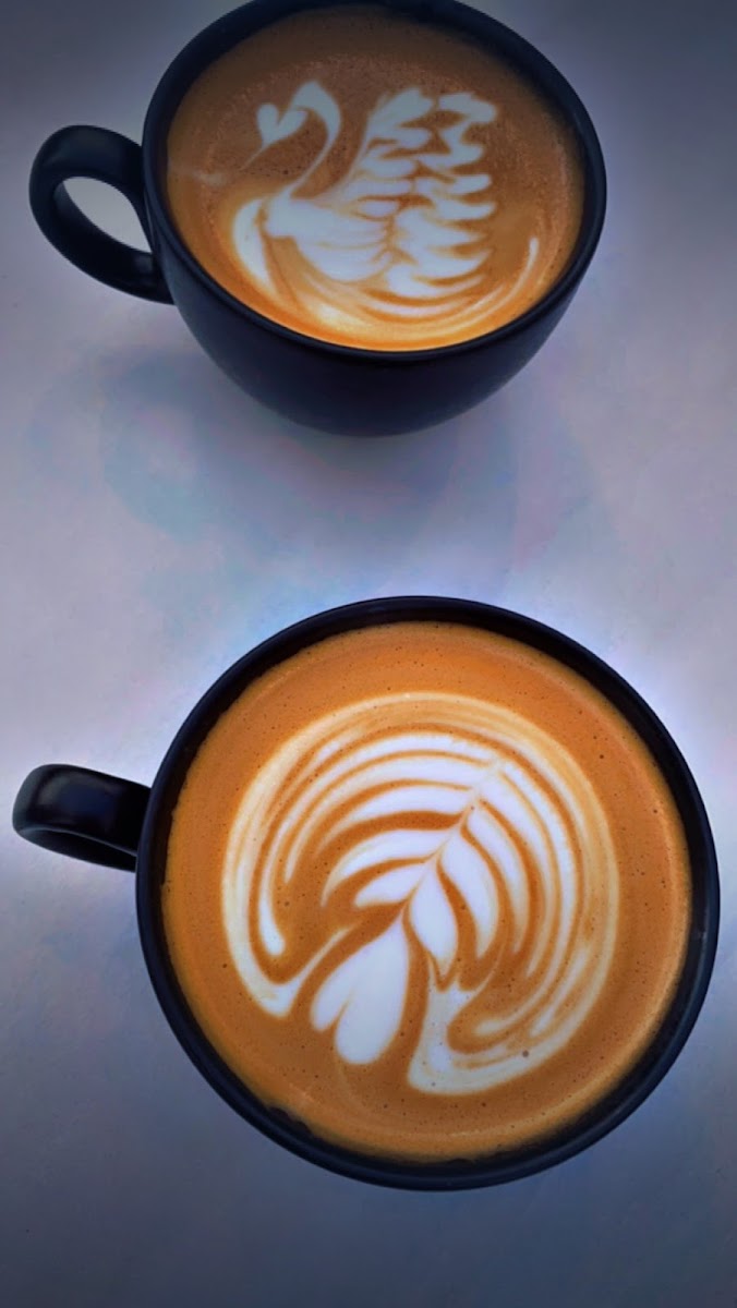 OPTIONS CAFE - Photo 9