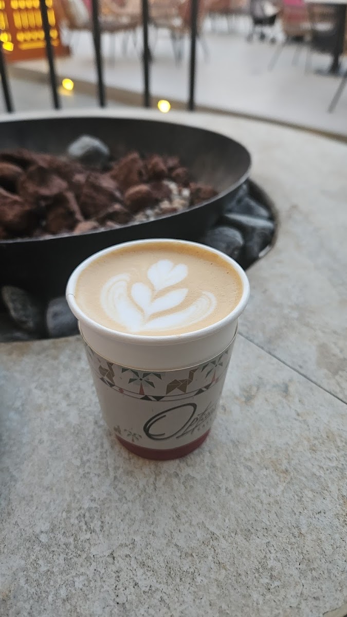 OPTIONS CAFE - Photo 4