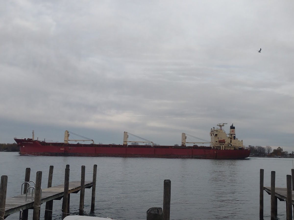 AJ's Salt Docks - Photo 5