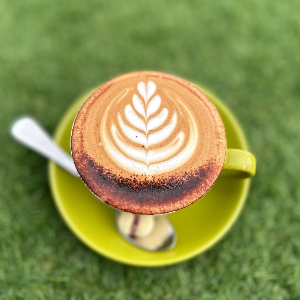 Nosso Café - Photo 2