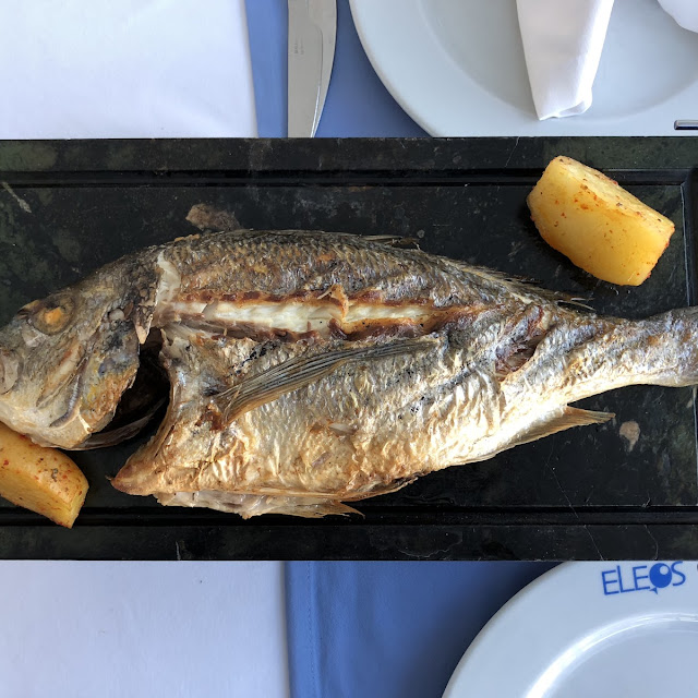 Grilled Blue Fish