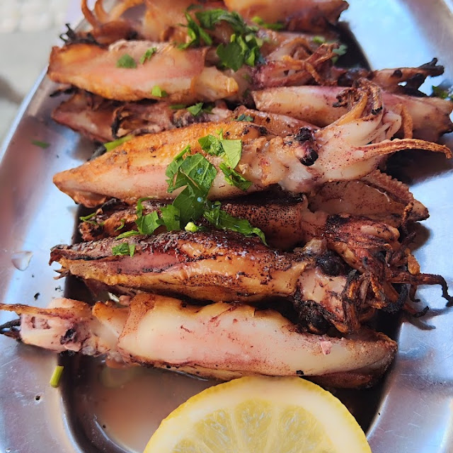 Squid