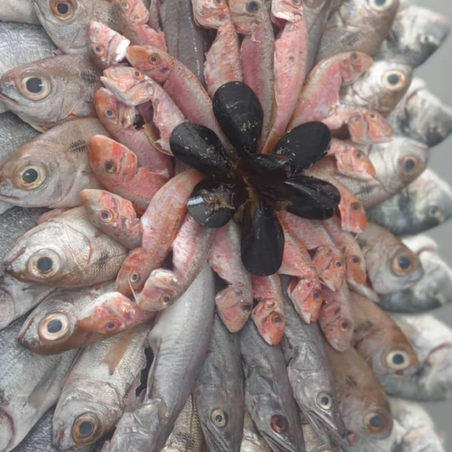 Mixed Fish