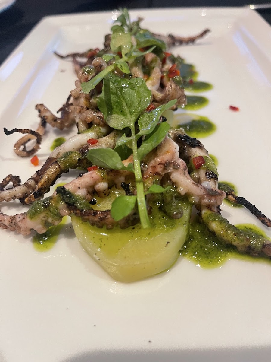 Gallo Nero Italian Restaurant - Photo 2