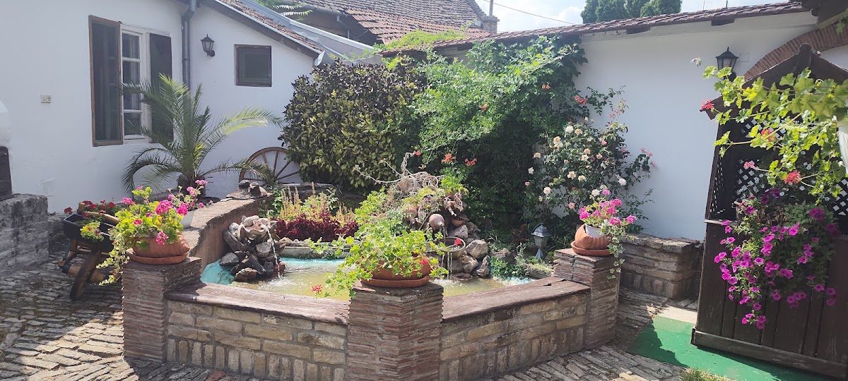 Gurinović - Photo 8
