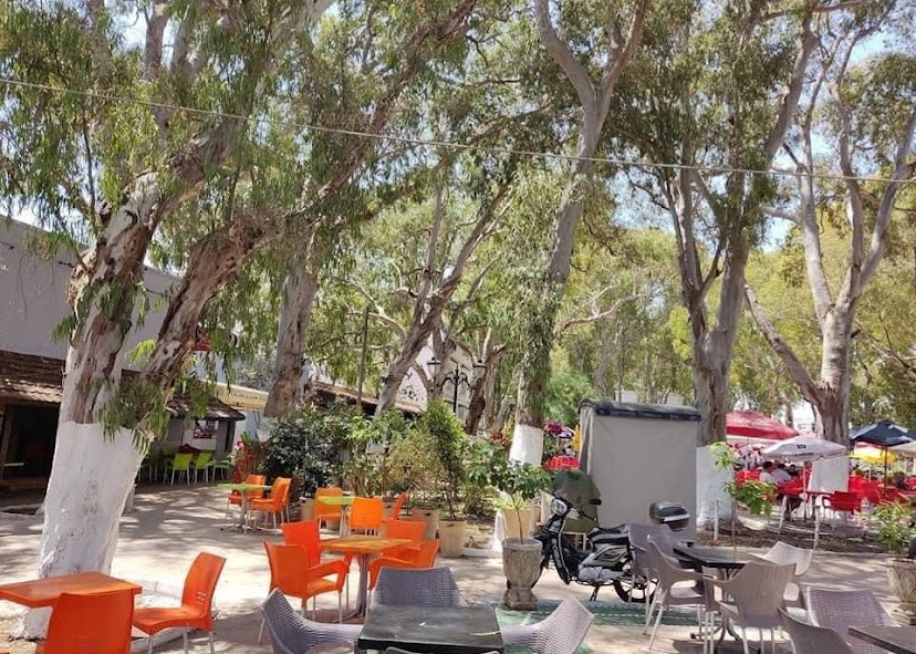 Café Hanafta - Photo 3