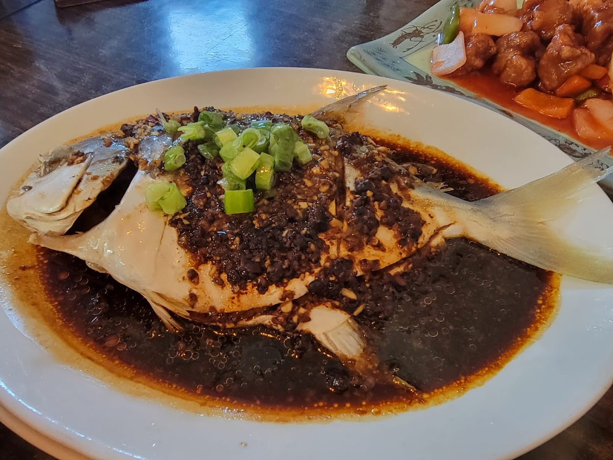 Hee Kee Restaurant Warrington 囍記•沃靈頓 - Photo 4