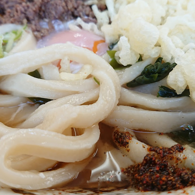 肉月見うどん大