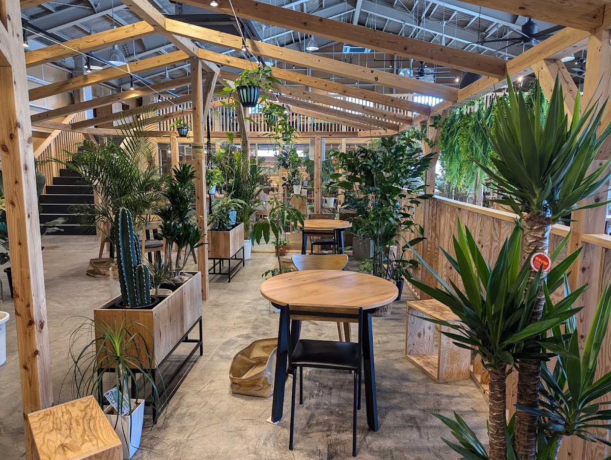 the SOUP green & cafe【観葉植物カフェ】 - Photo 3