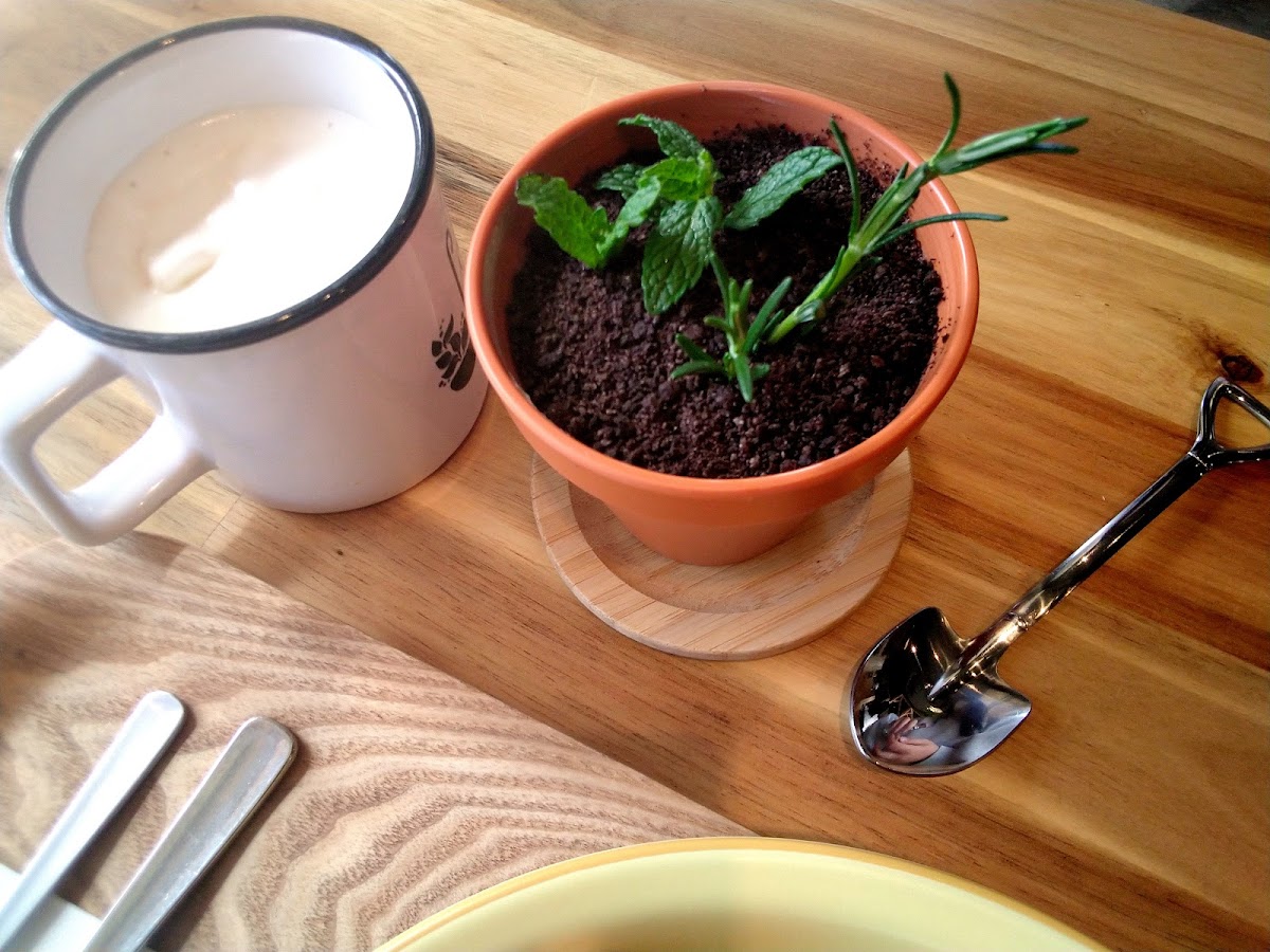 the SOUP green & cafe【観葉植物カフェ】 - Photo 4