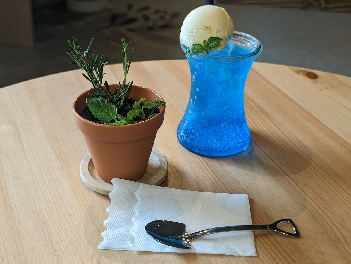 the SOUP green & cafe【観葉植物カフェ】 - Photo 6