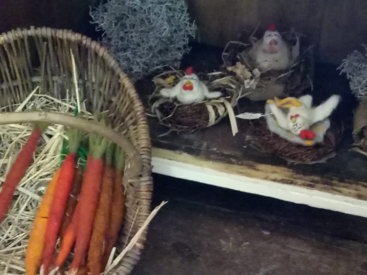 Laden Cafe Mohnamour - Photo 4