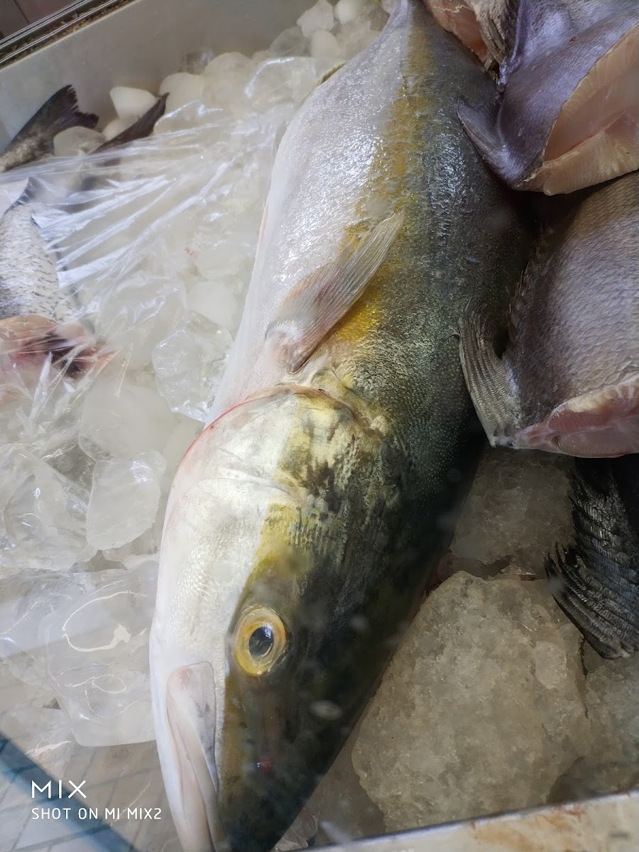 Plumstead Fisheries - Photo 7