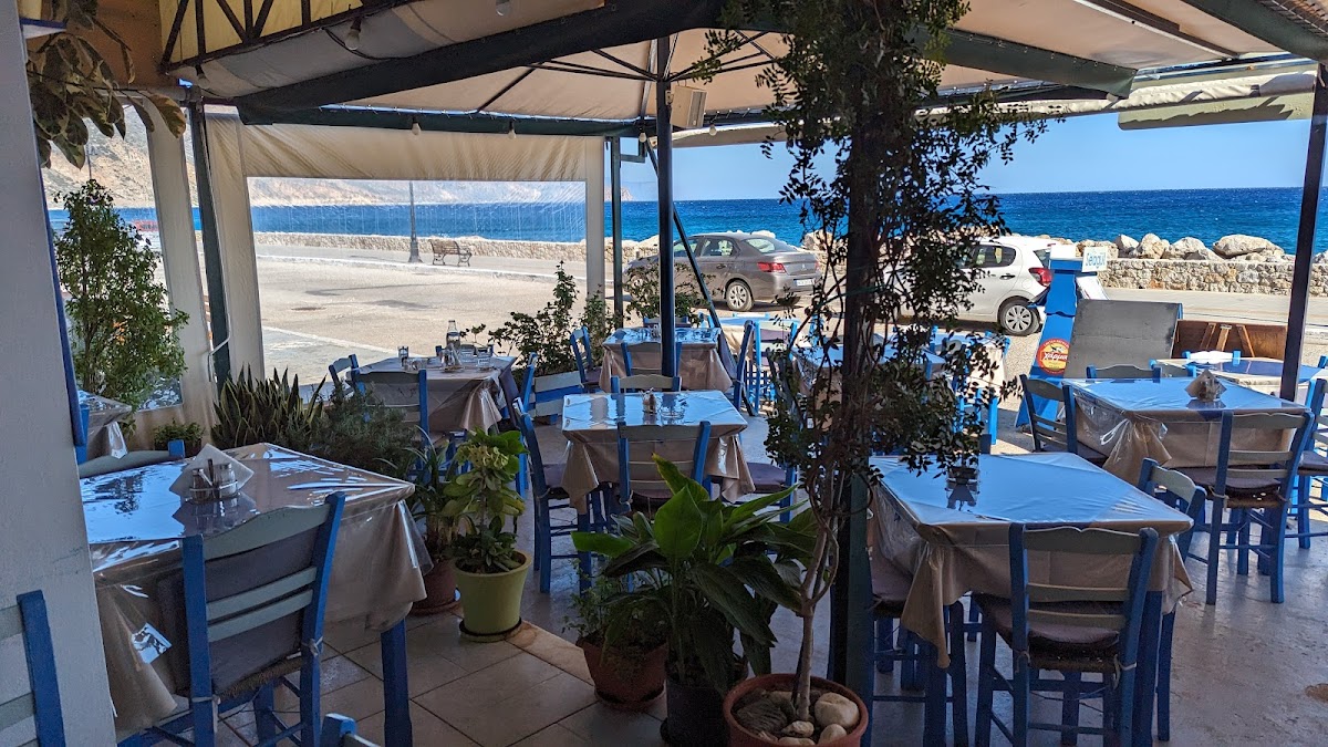 Seagull restaurant