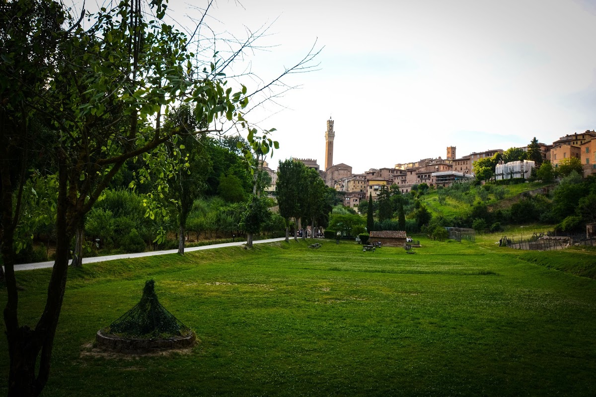 Ristorante/pizzeria All'Orto de' Pecci - Photo 3