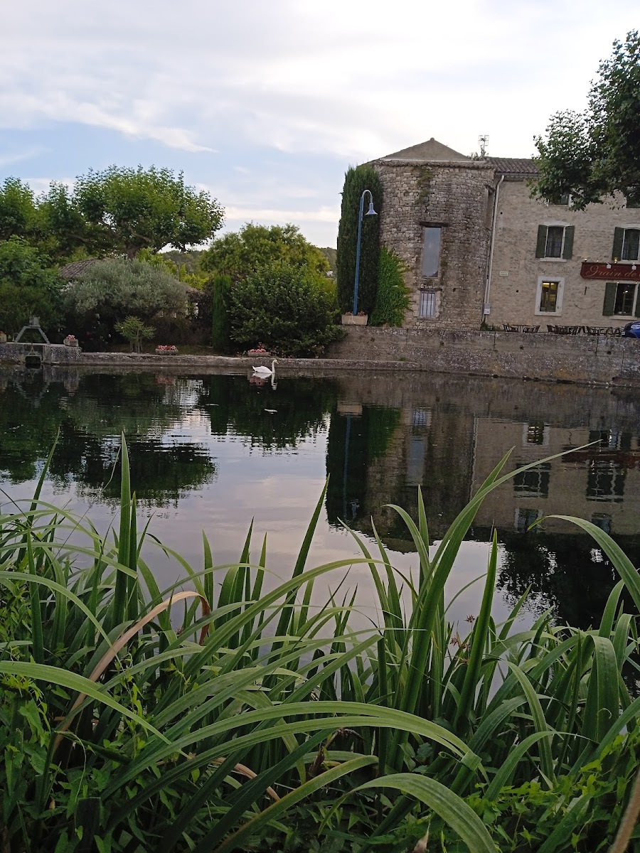 Guinguette La Petite Venise - Photo 2