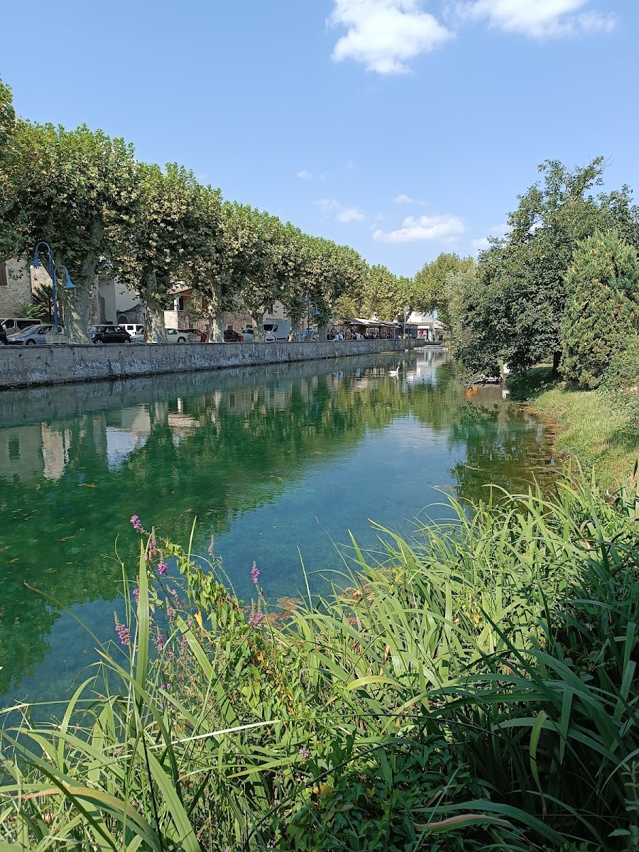 Guinguette La Petite Venise - Photo 4