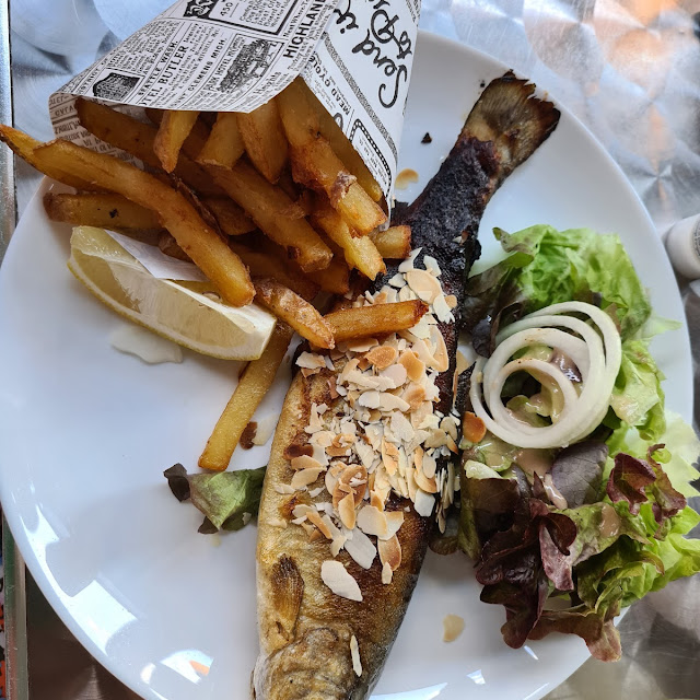Forel