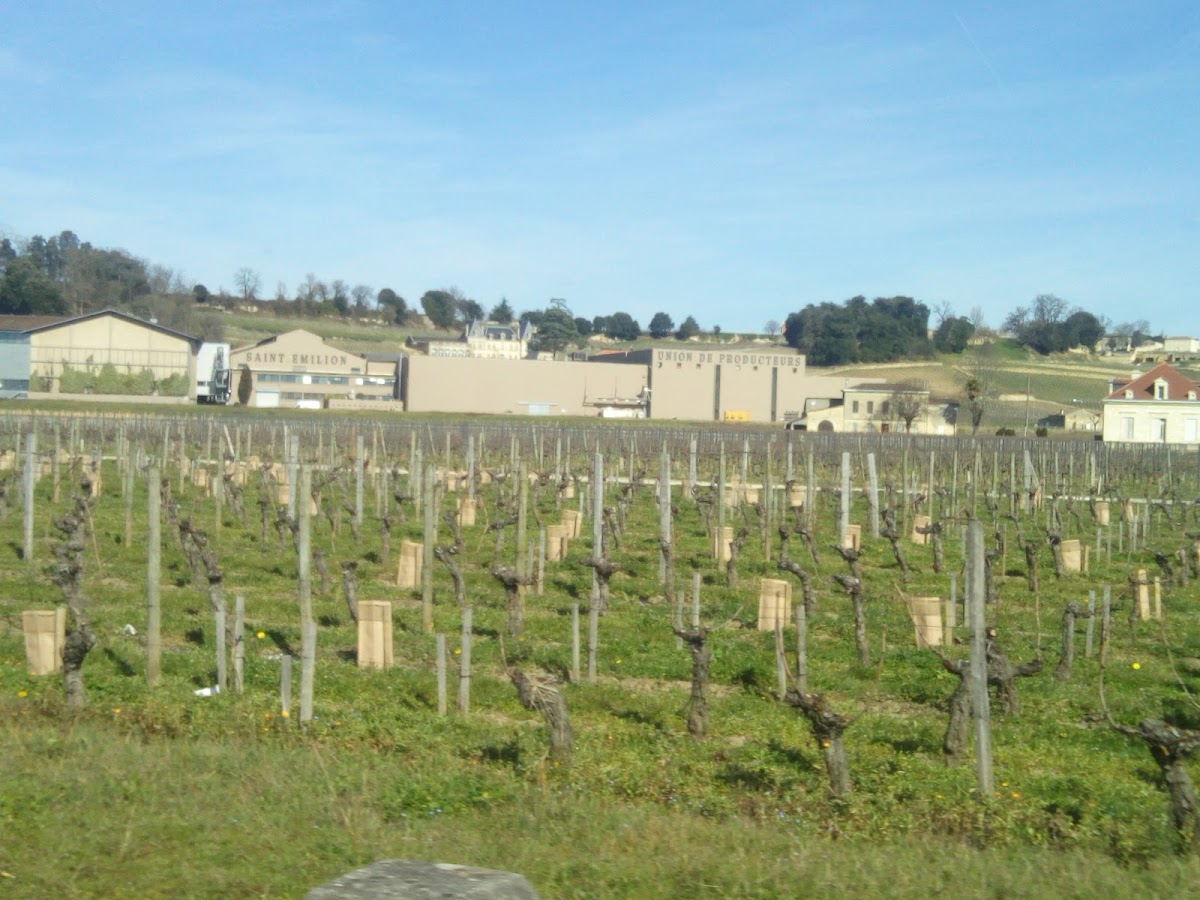 La Puce - Photo 7