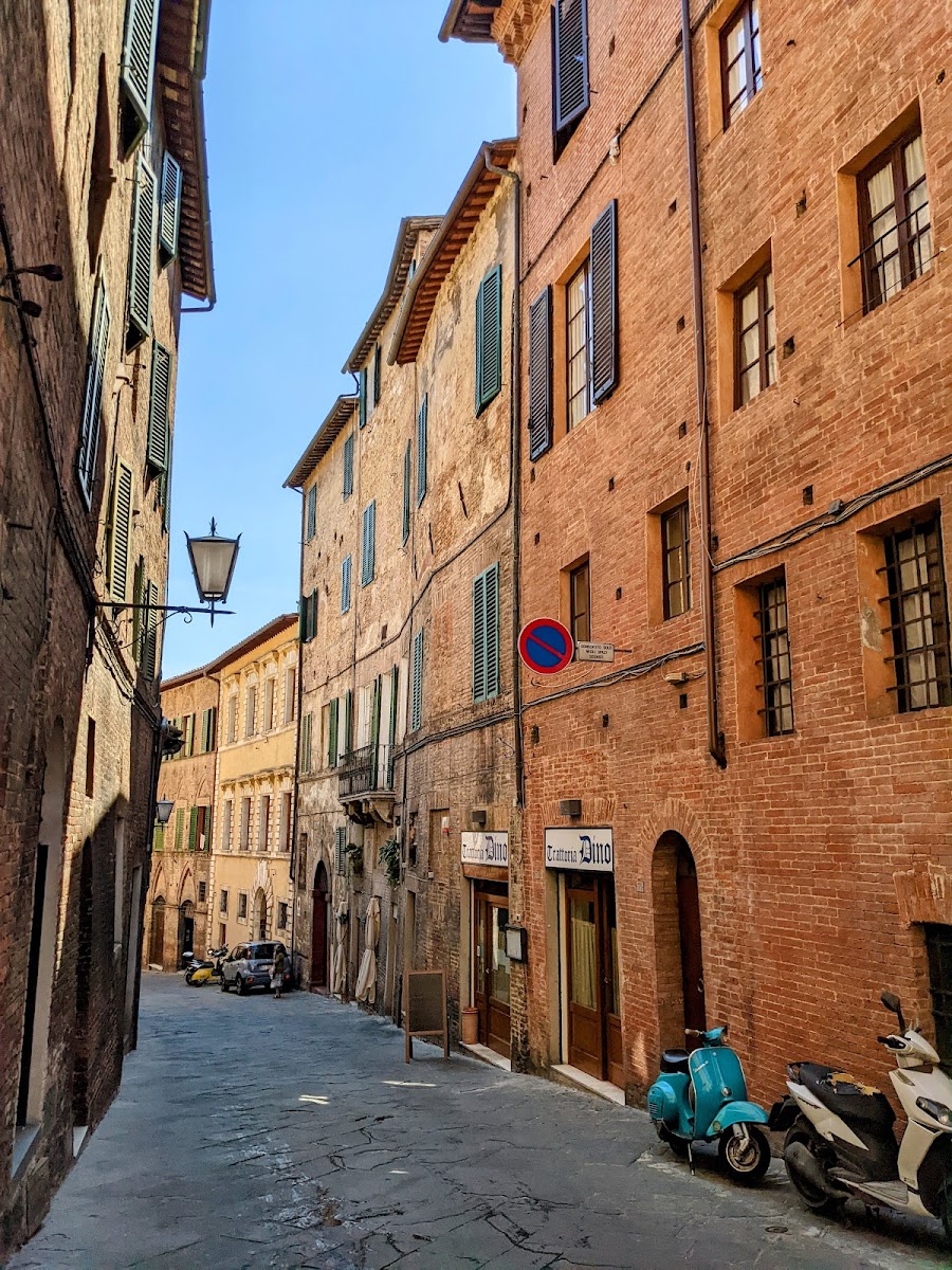 Trattoria Dino - Photo 7