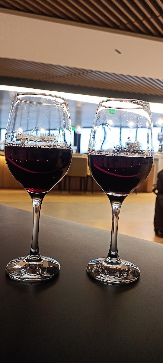 Plaza Premium Lounge (Domestic Departures, Terminal 2) - Photo 7