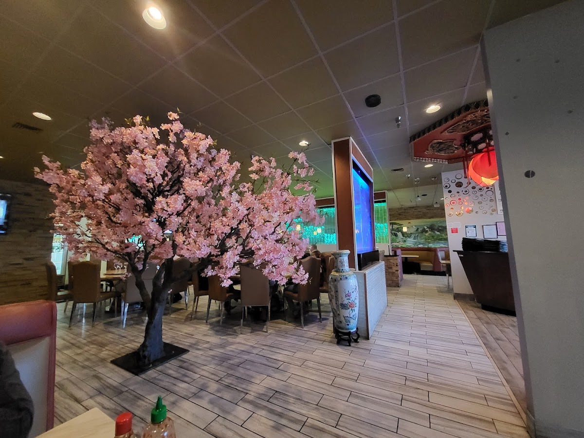 Asian Blossom - Photo 3