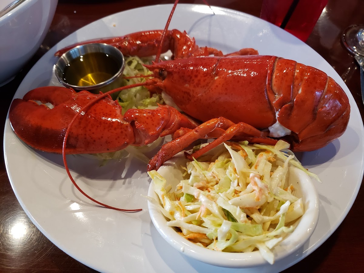 Red Grouper Tavern - Photo 5