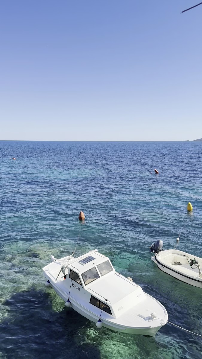Beach Bar Adriatic - Photo 1