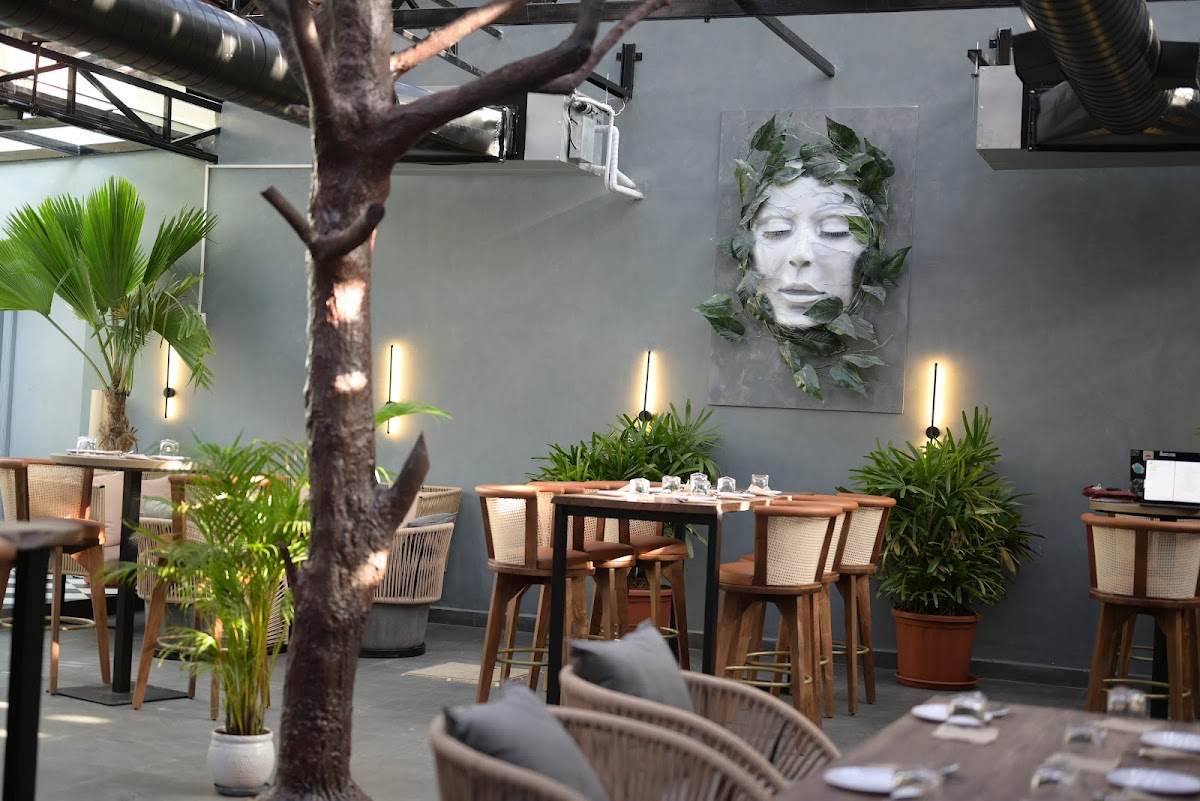 Cafe Nirvanaa