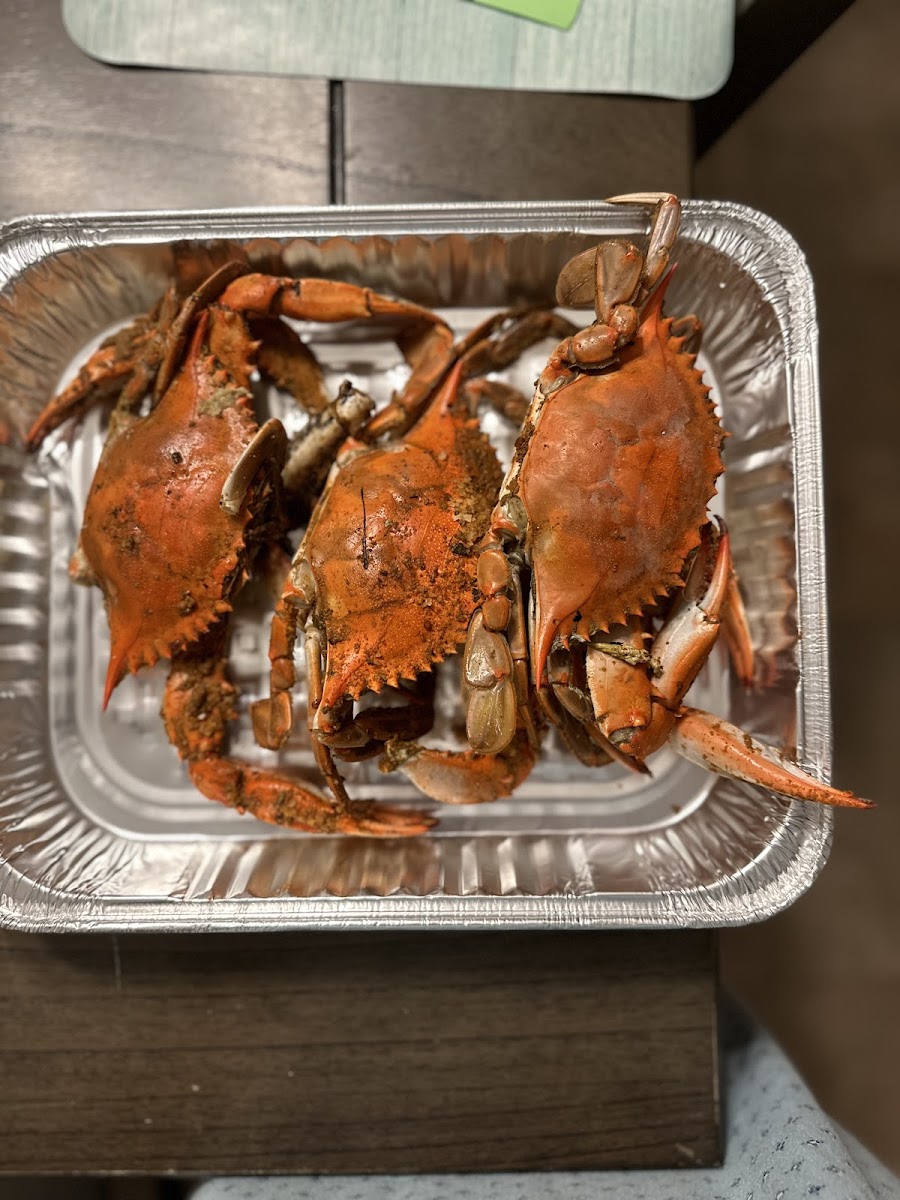 Halterman's Eatery - Photo 3