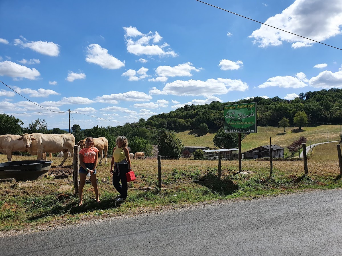 La Borie Blanche - Photo 8
