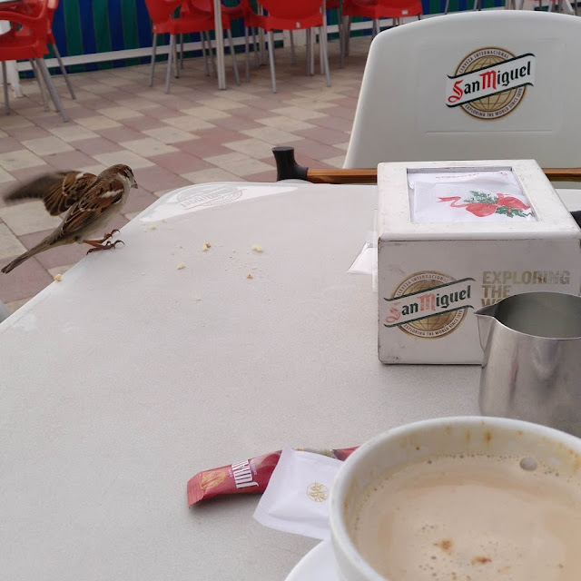 Sparrow