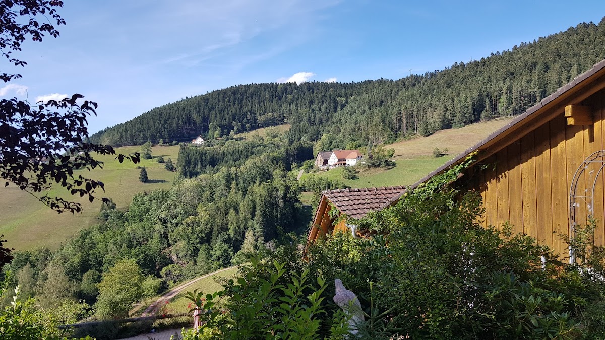Schwarzwaldstube - Eselbach - Photo 9