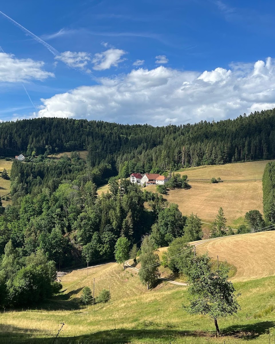 Schwarzwaldstube - Eselbach - Photo 2