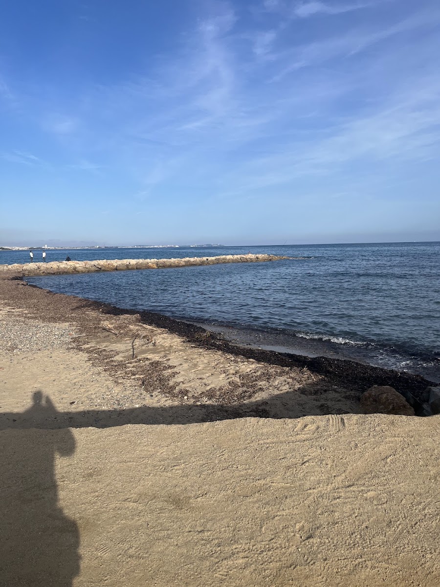 Burguer Platja Montroig - Photo 4