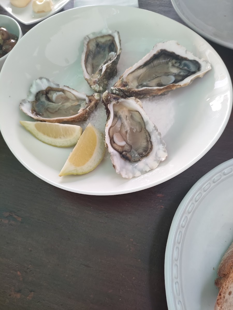 Marisqueira Modesto - Photo 4