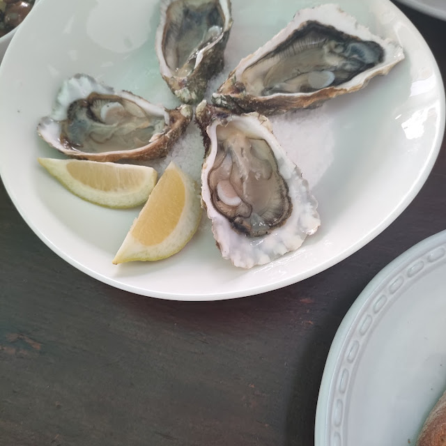 Oysters